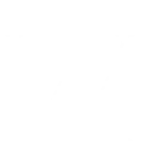 Websphere Hub Logo