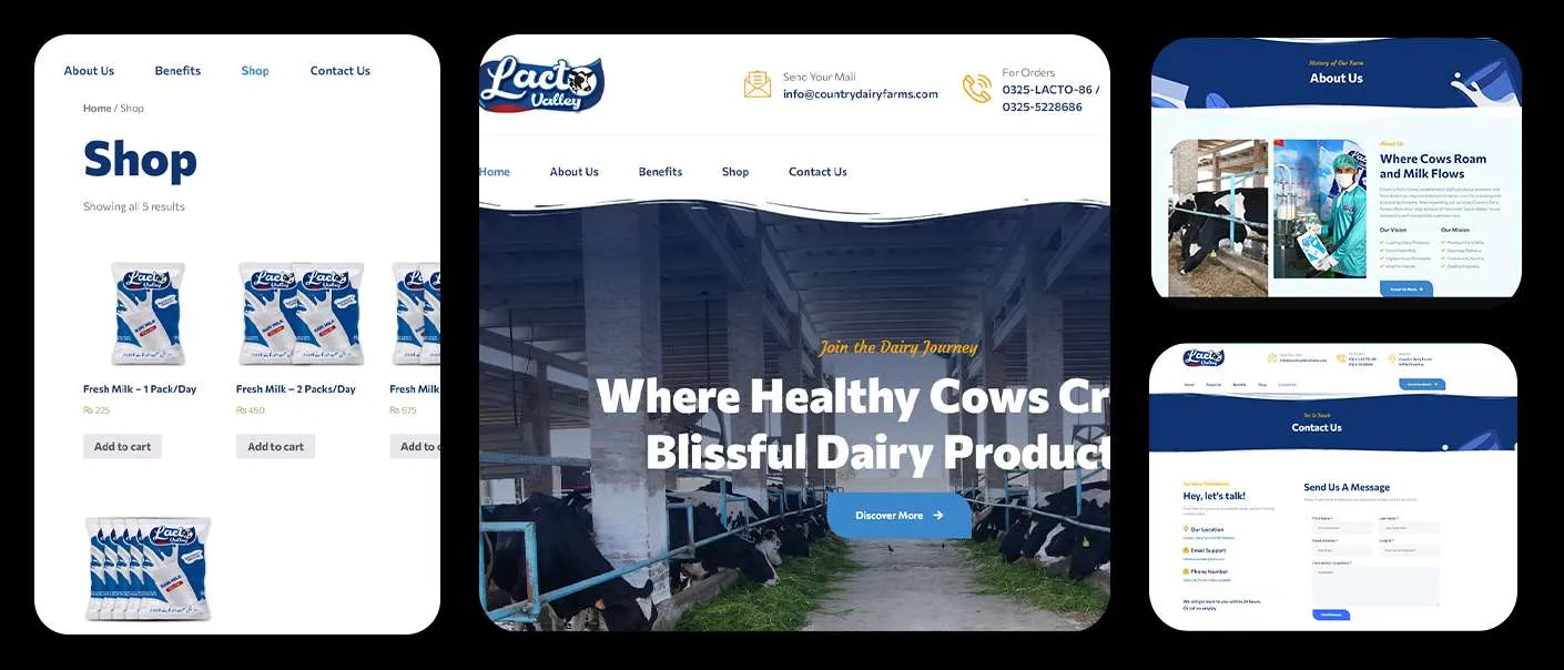 Portfolio gallery image